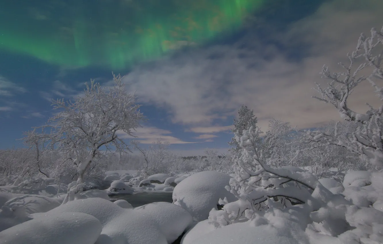 Photo wallpaper winter, frost, forest, the sky, clouds, snow, trees, branches