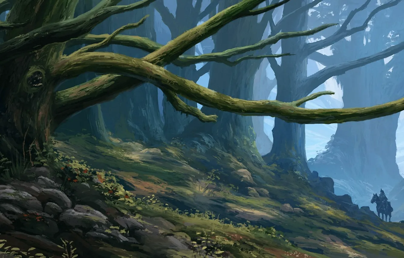 Photo wallpaper forest, art, rider, deriva