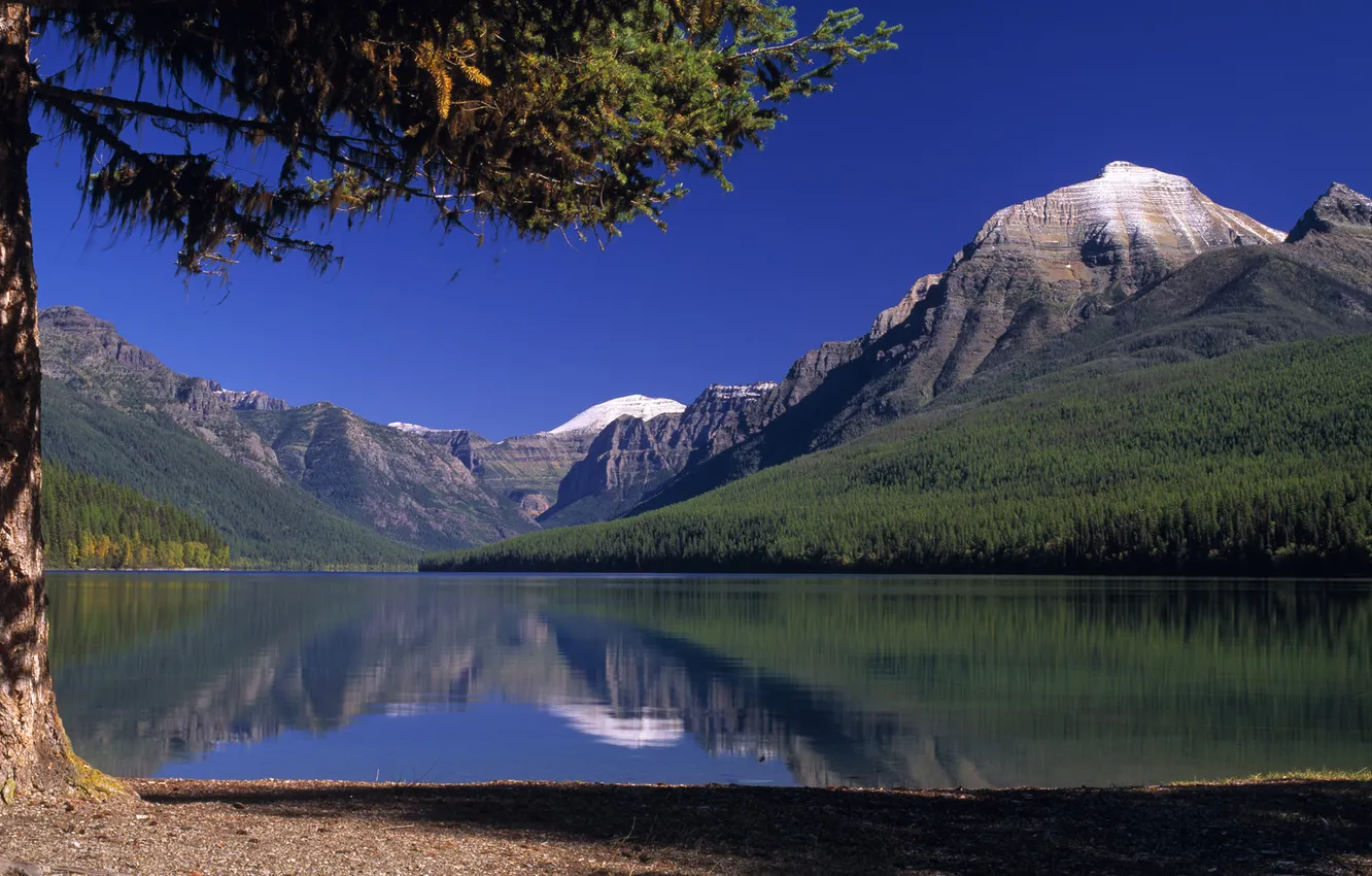 Photo wallpaper trees, mountains, lake