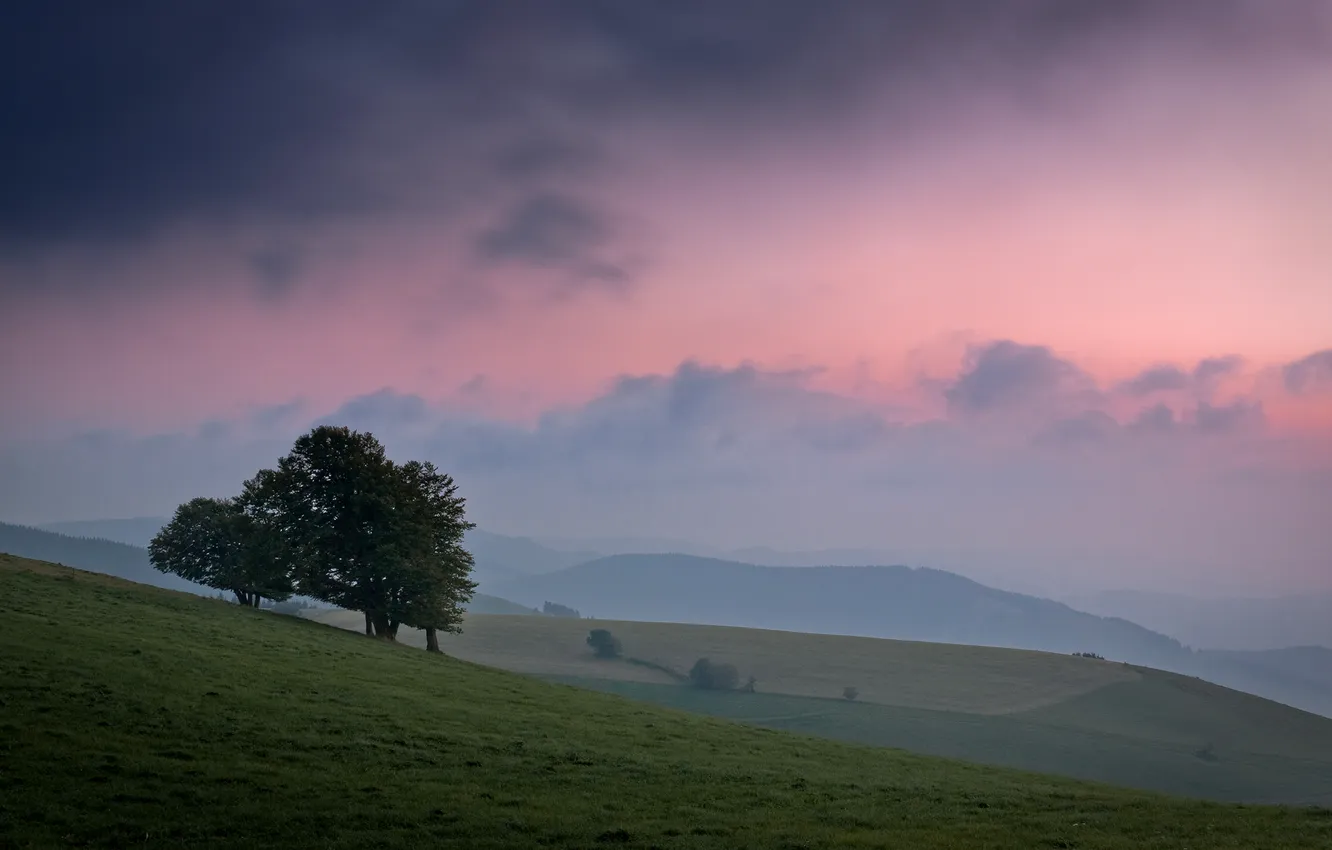 Photo wallpaper the sky, trees, hills, slope