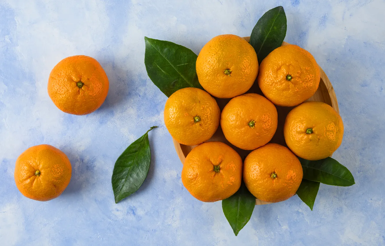 Photo wallpaper leaves, bowl, fruit, blue background, composition, tangerines
