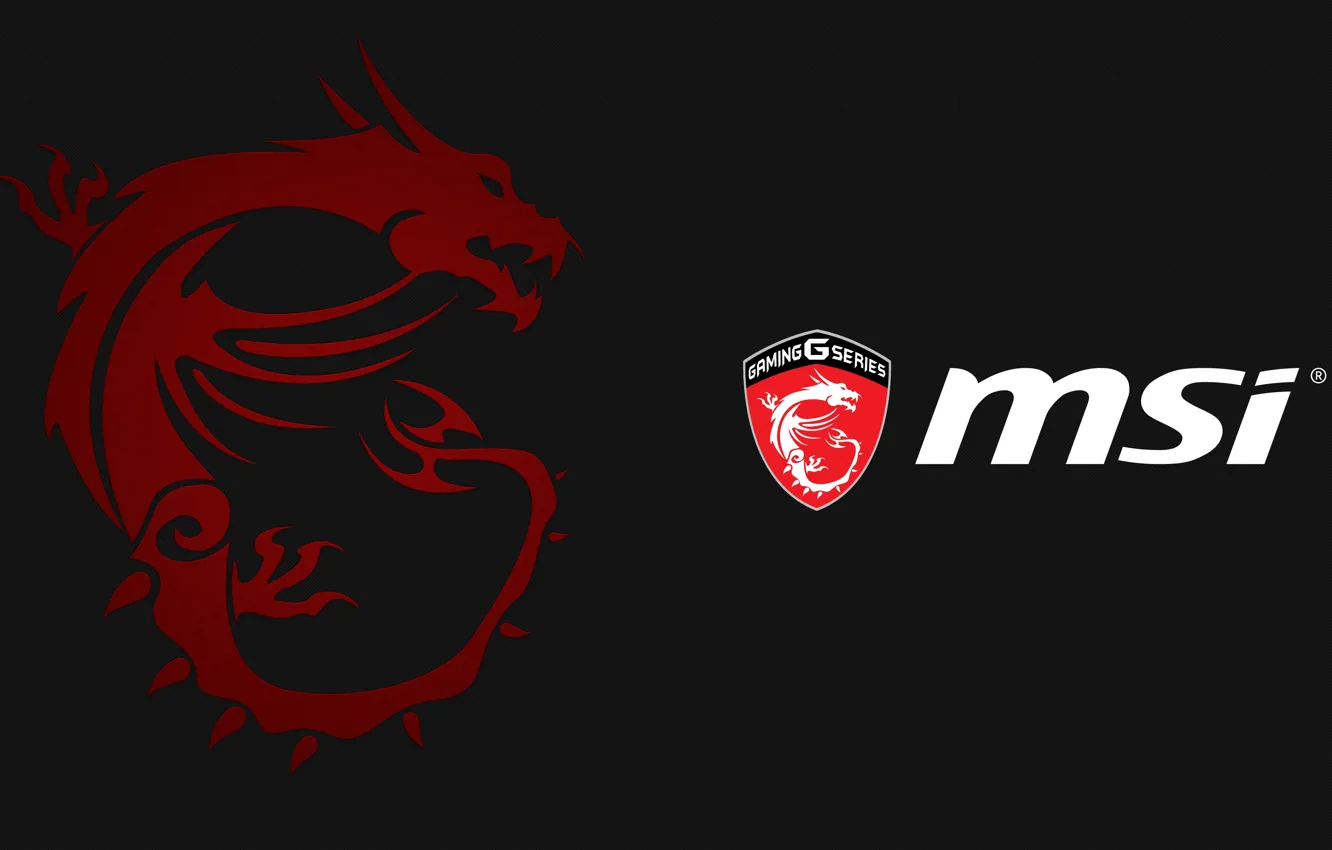 Photo wallpaper Wallpaper, games, MSI, robocity