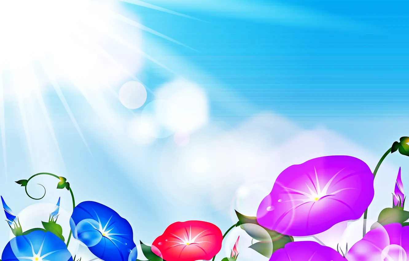 Photo wallpaper the sky, flowers, the sun's rays