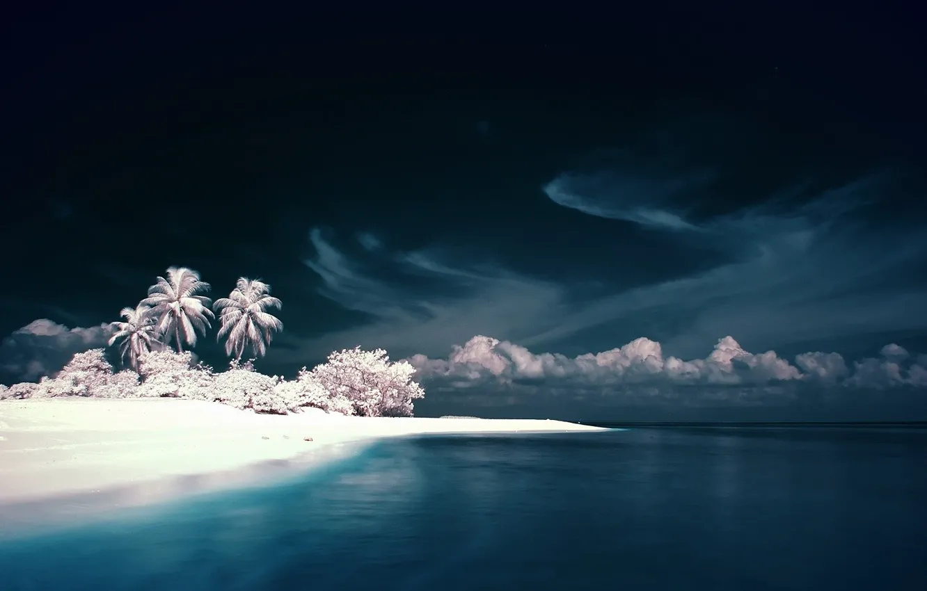 Photo wallpaper The sky, Water, White, Island, Palm trees