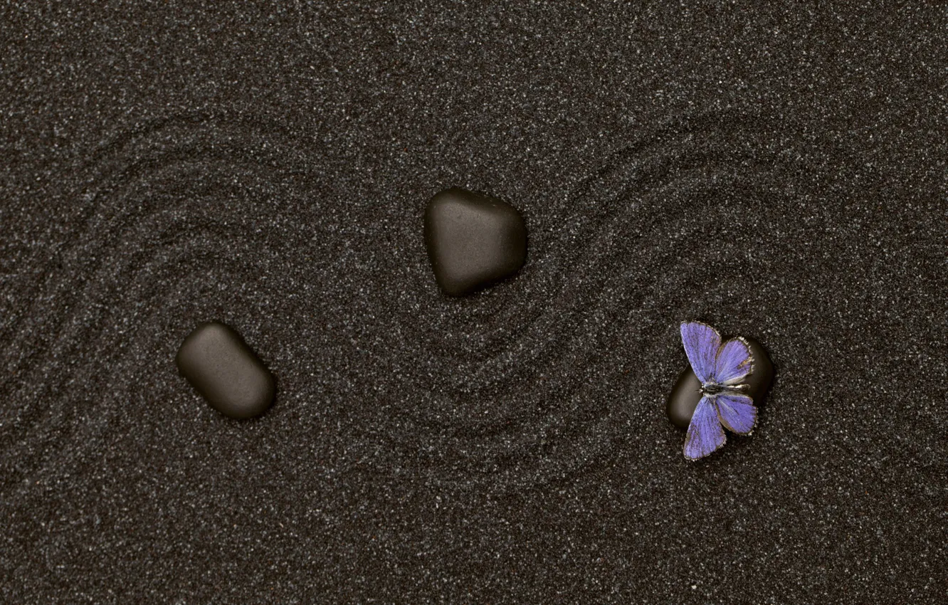 Photo wallpaper sand, butterfly, stone, texture