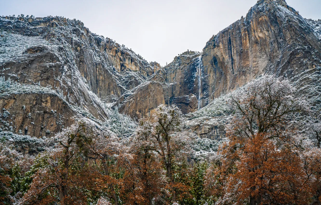 Photo wallpaper winter, forest, the sky, snow, trees, mountains, stones, rocks
