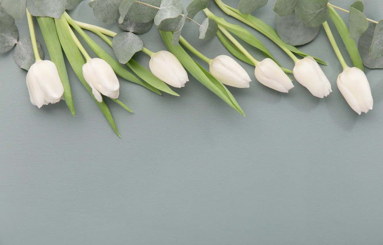 Photo wallpaper flowers, tulips, white, buds