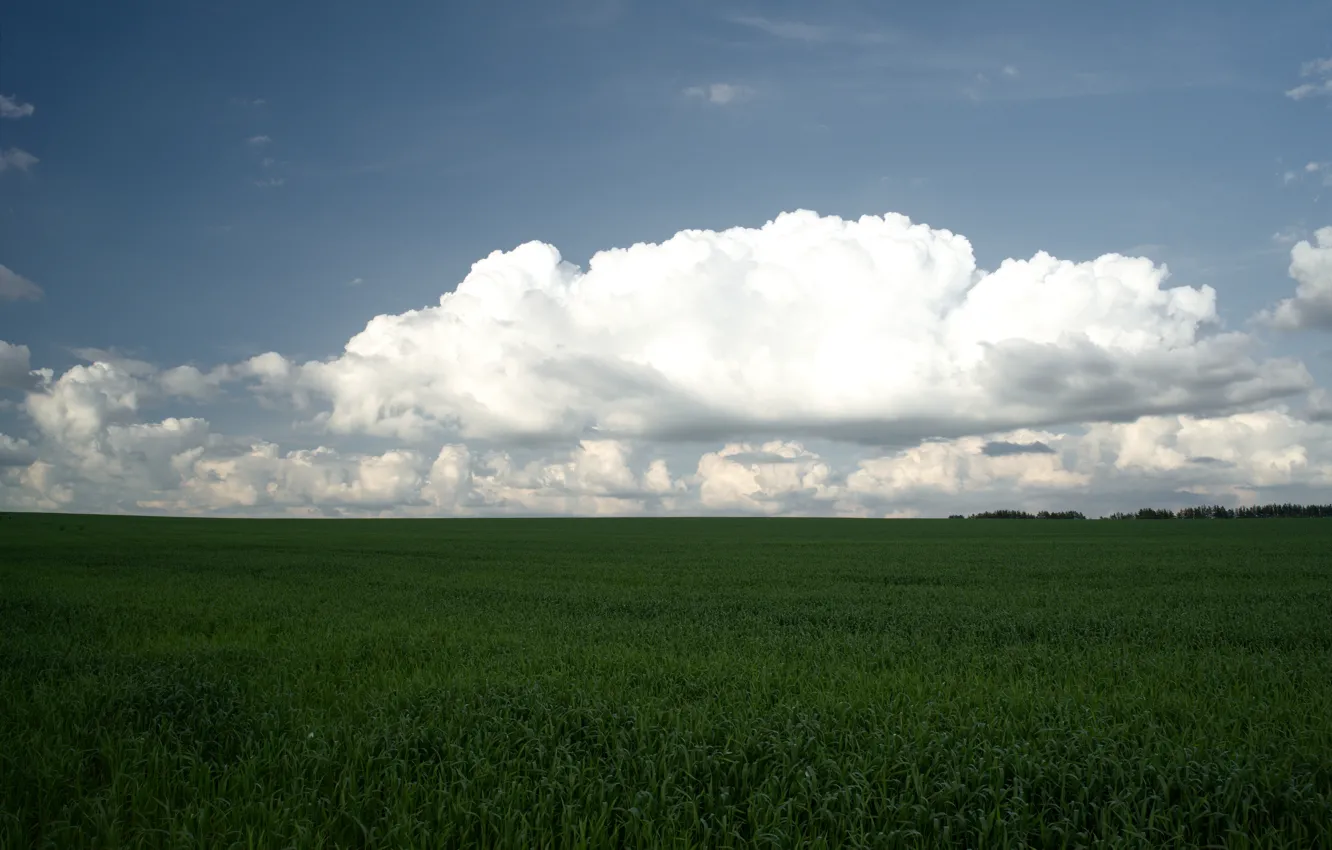 Photo wallpaper field, the sky, grass, clouds, landscape, nature, spaces