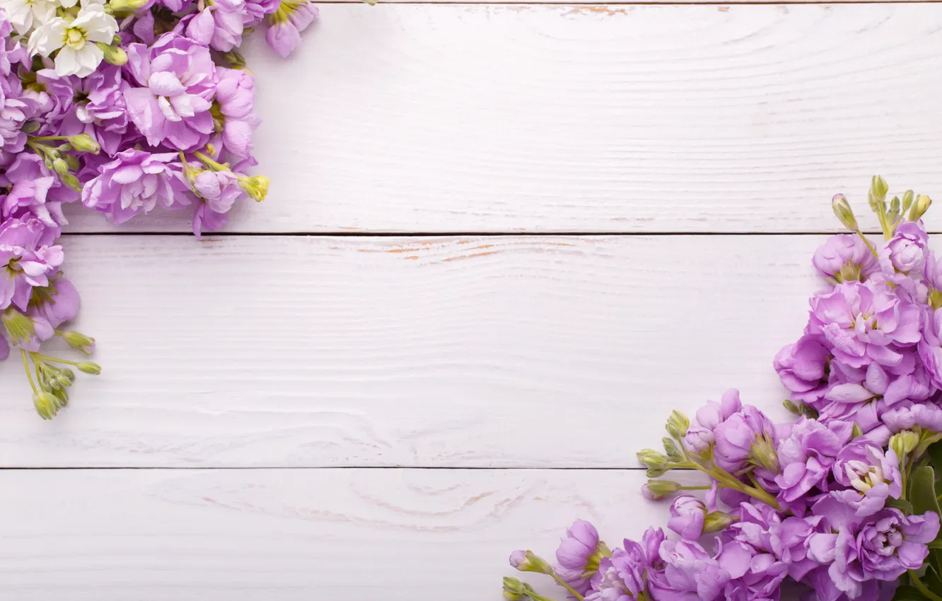 Photo wallpaper flowers, wood, flowers, spring, violet