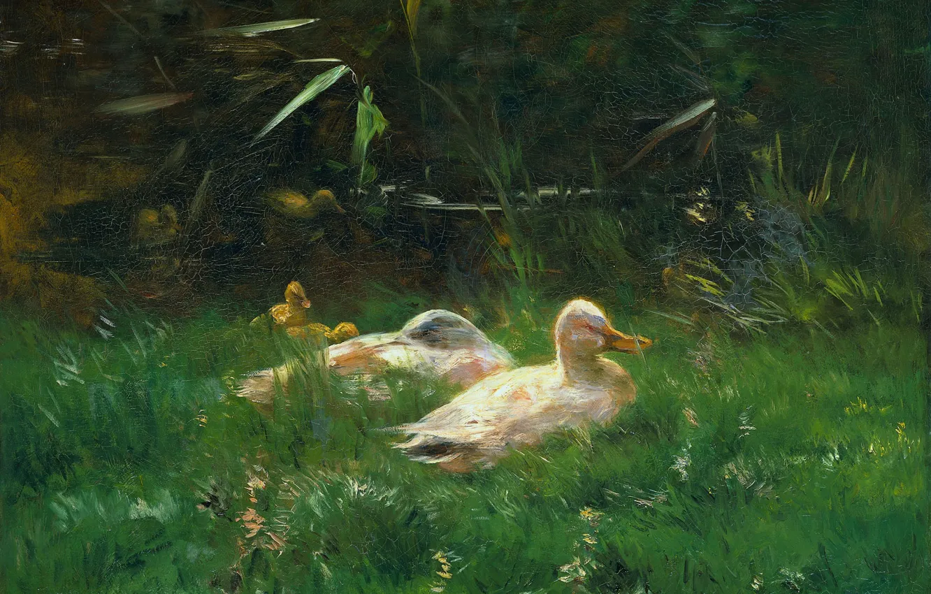 Photo wallpaper oil, picture, canvas, Duck, 1904, Willem Maris, Willem Maris