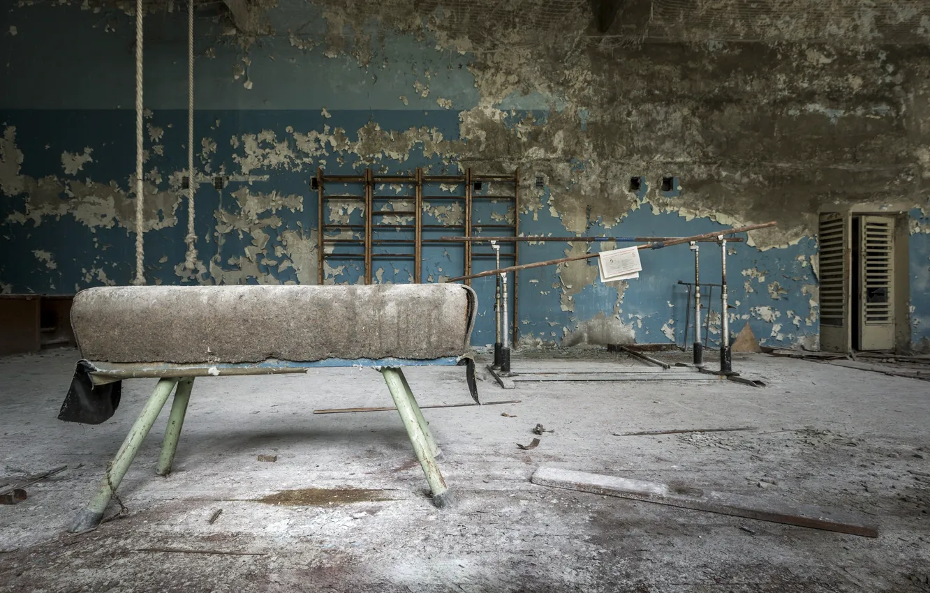 Photo wallpaper sport, horse, hall
