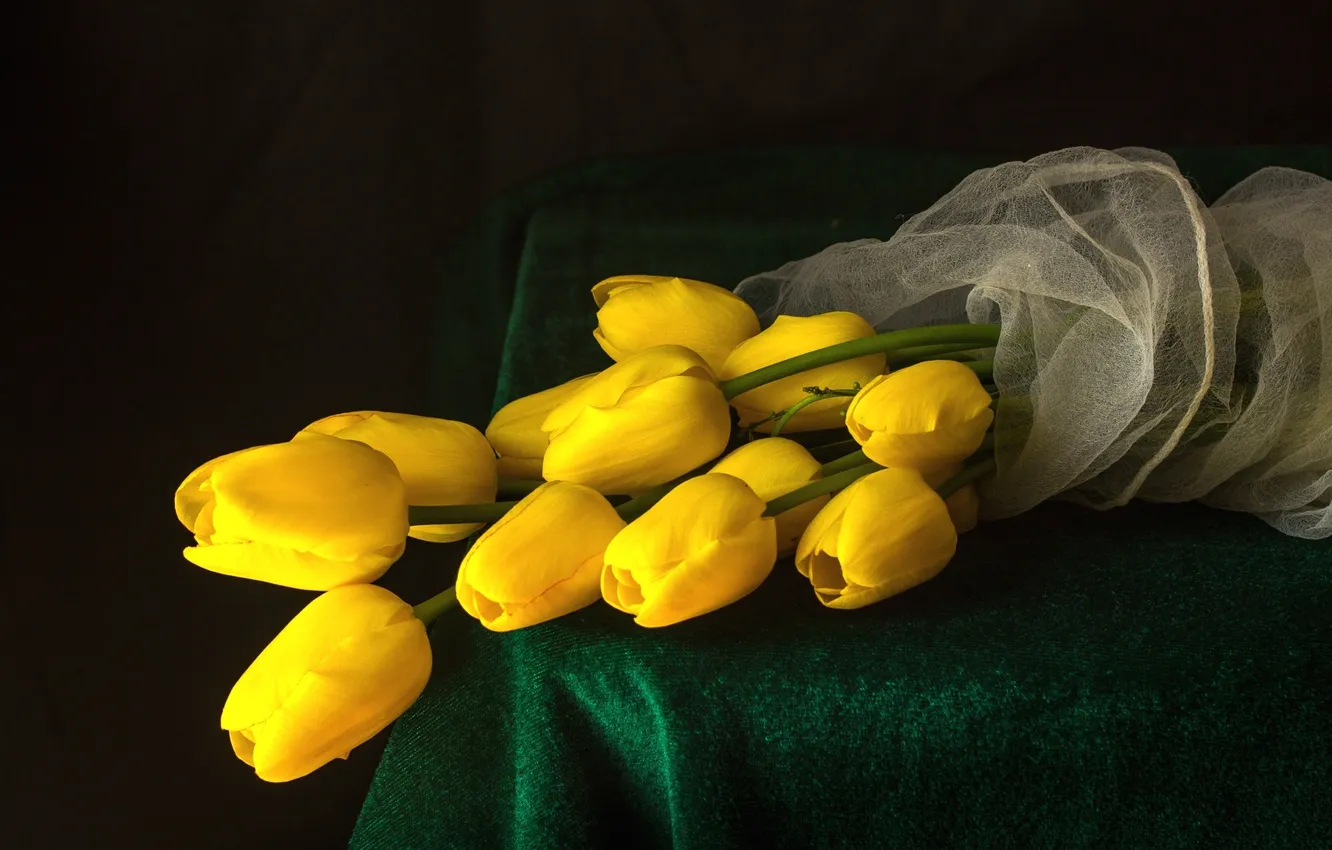Photo wallpaper yellow, tulips, buds