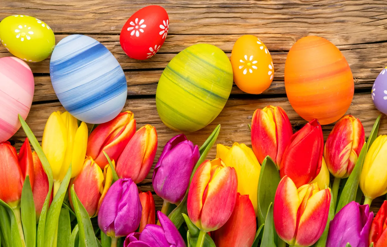 Photo wallpaper flowers, eggs, spring, Easter, tulips, flowers, tulips, spring