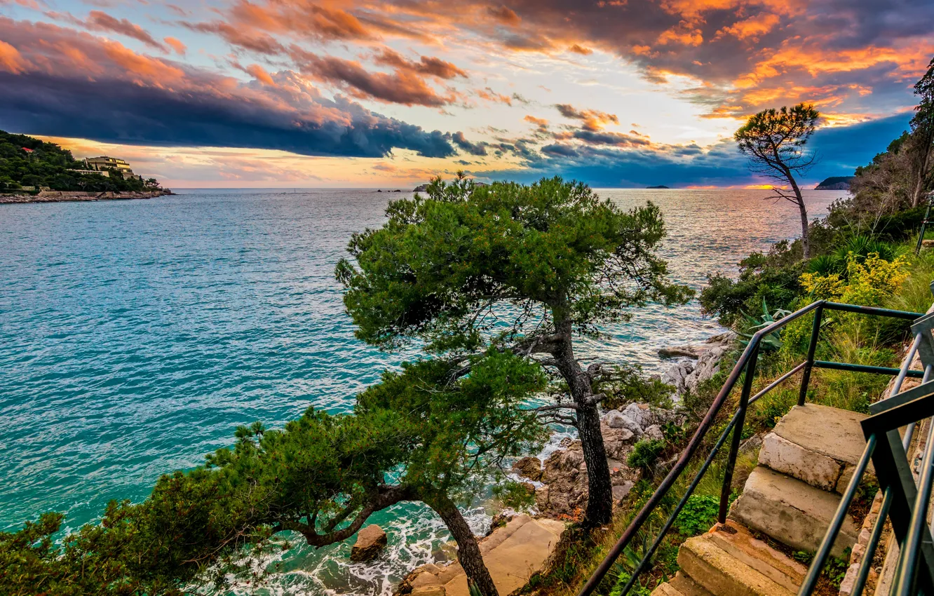 Photo wallpaper sea, trees, landscape, nature, ladder, Croatia, Dubrovnik