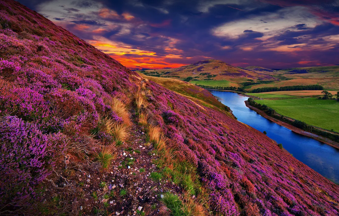 Photo wallpaper colorful, river, sky, trees, landscape, nature, sunset, flowers