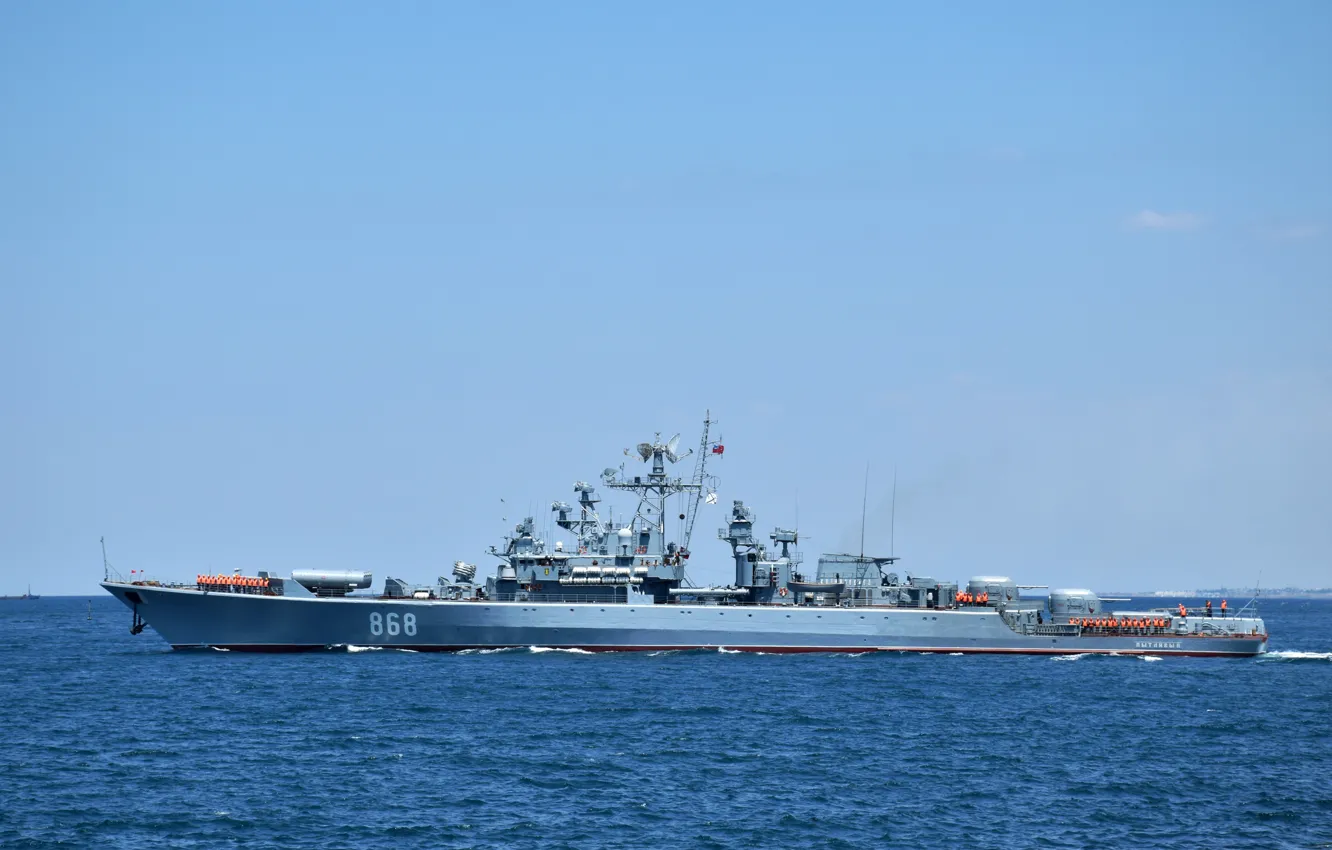 Photo wallpaper ship, guard, inquisitive