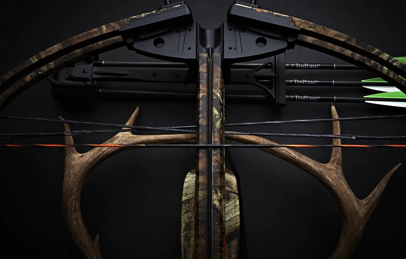 Photo wallpaper weapons, background, horns, arrows, crossbow