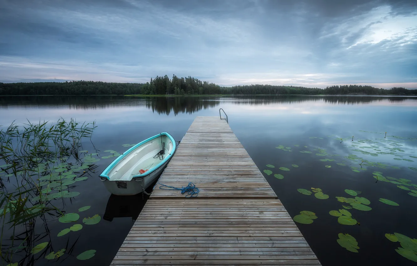 Photo wallpaper forest, the sky, leaves, shore, boat, pier, pierce, wooden