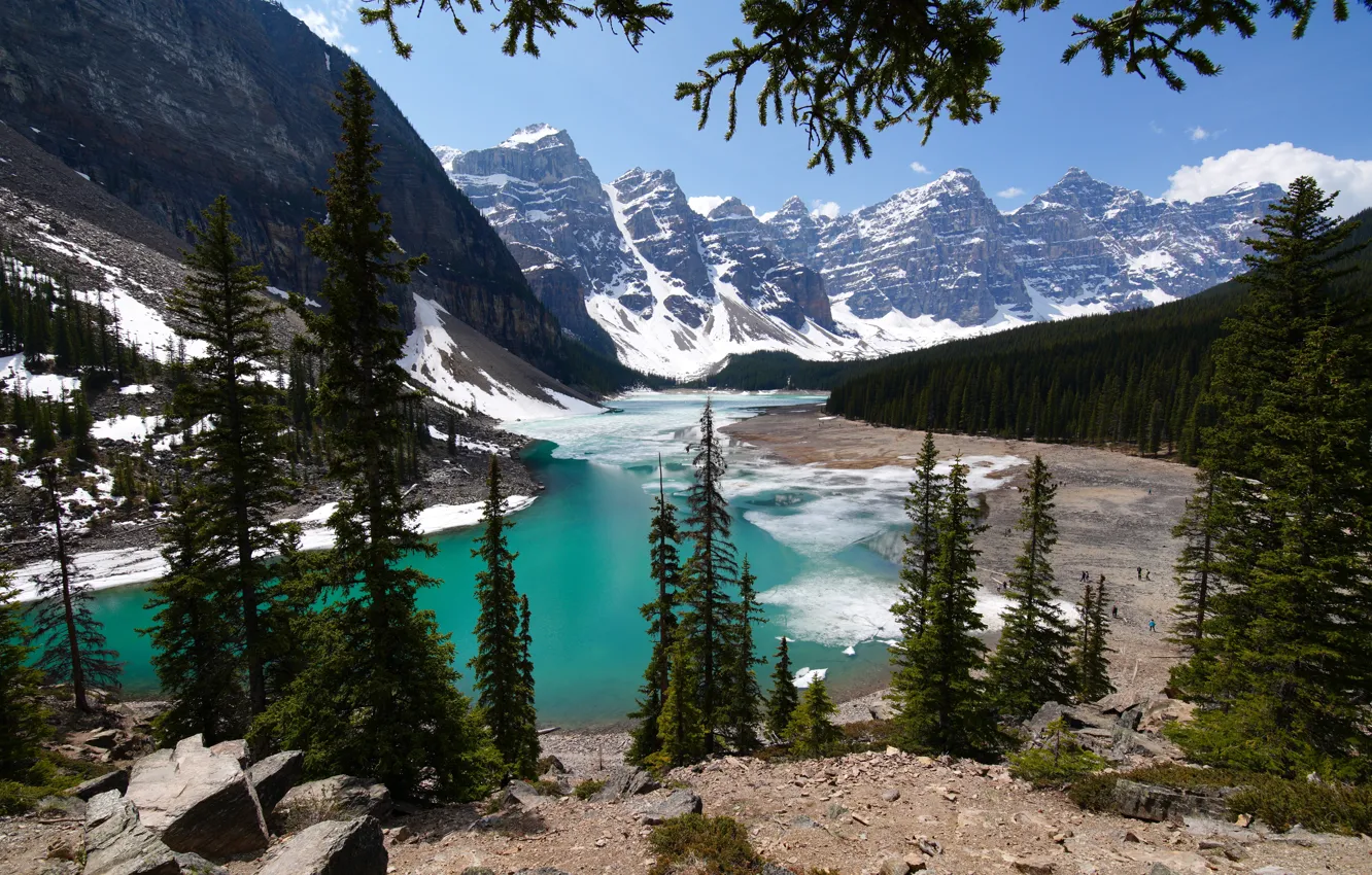 Photo wallpaper forest, mountains, lake, ice, ate, Canada, Albert, Banff National Park