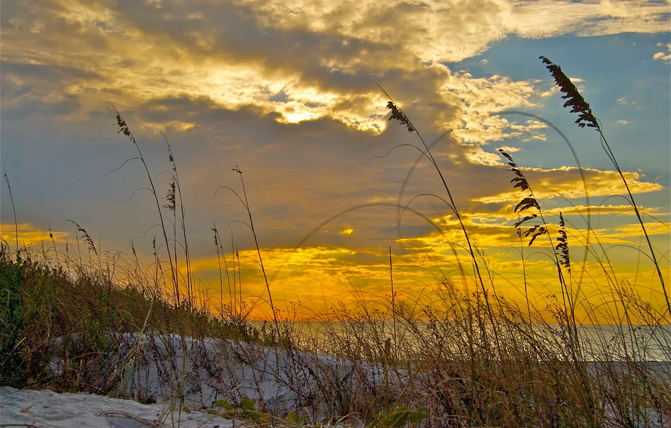 Photo wallpaper sand, sea, the sky, grass, clouds, sunset, shore, plant