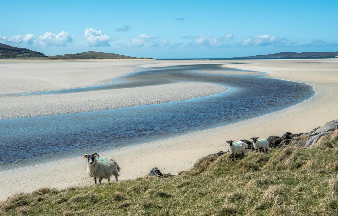Photo wallpaper sand, grass, clouds, landscape, mountains, nature, river, hills