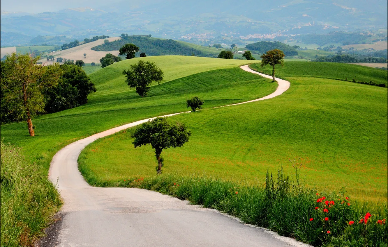 Photo wallpaper road, field, grass, trees, flowers, hills