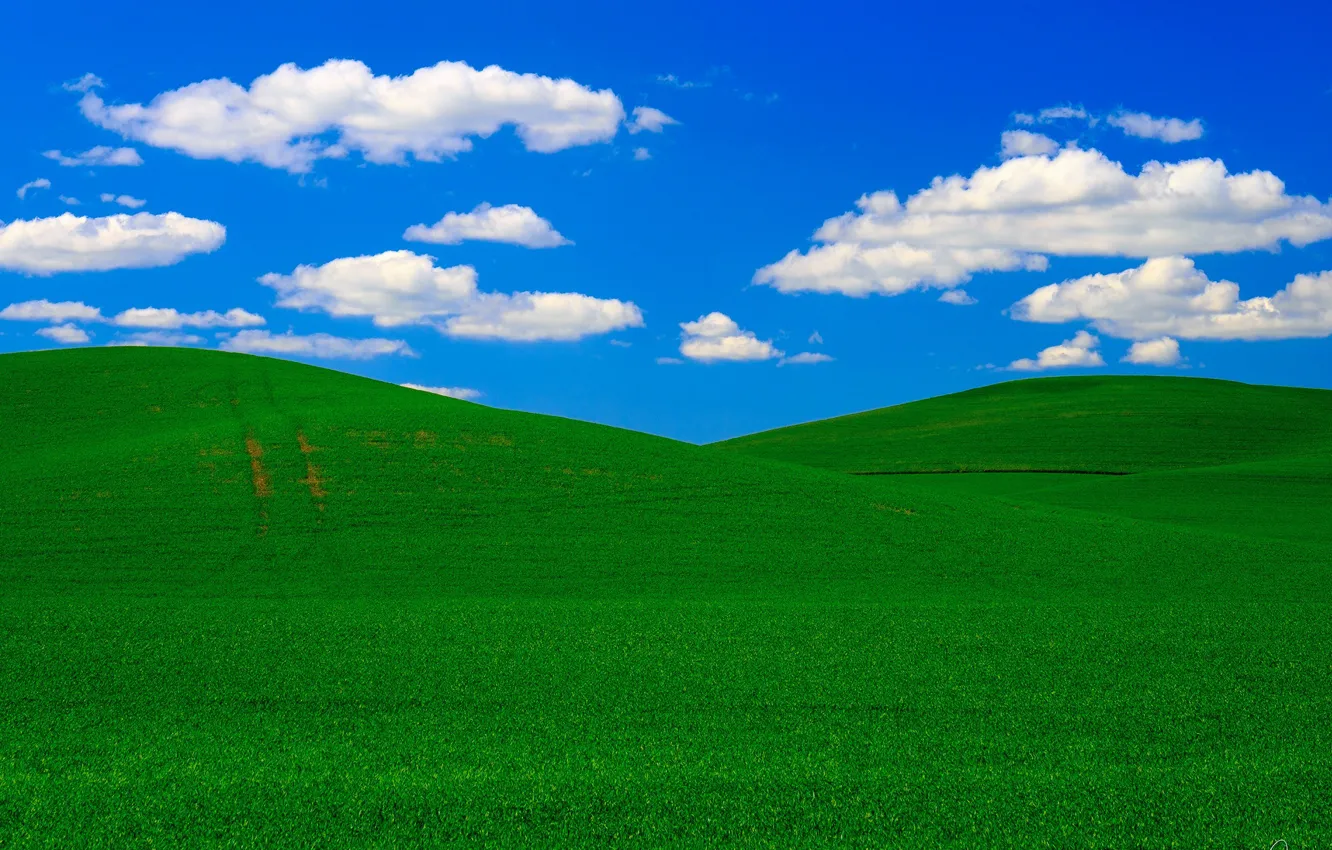 Photo wallpaper field, the sky, clouds, hills, USA, Washington