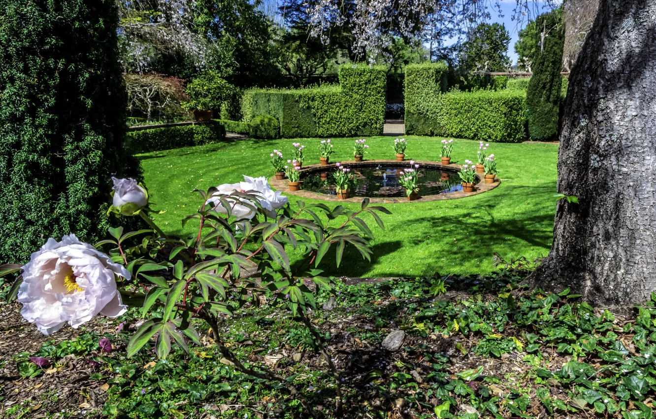 Photo wallpaper trees, flowers, design, lawn, garden, CA, fountain, USA