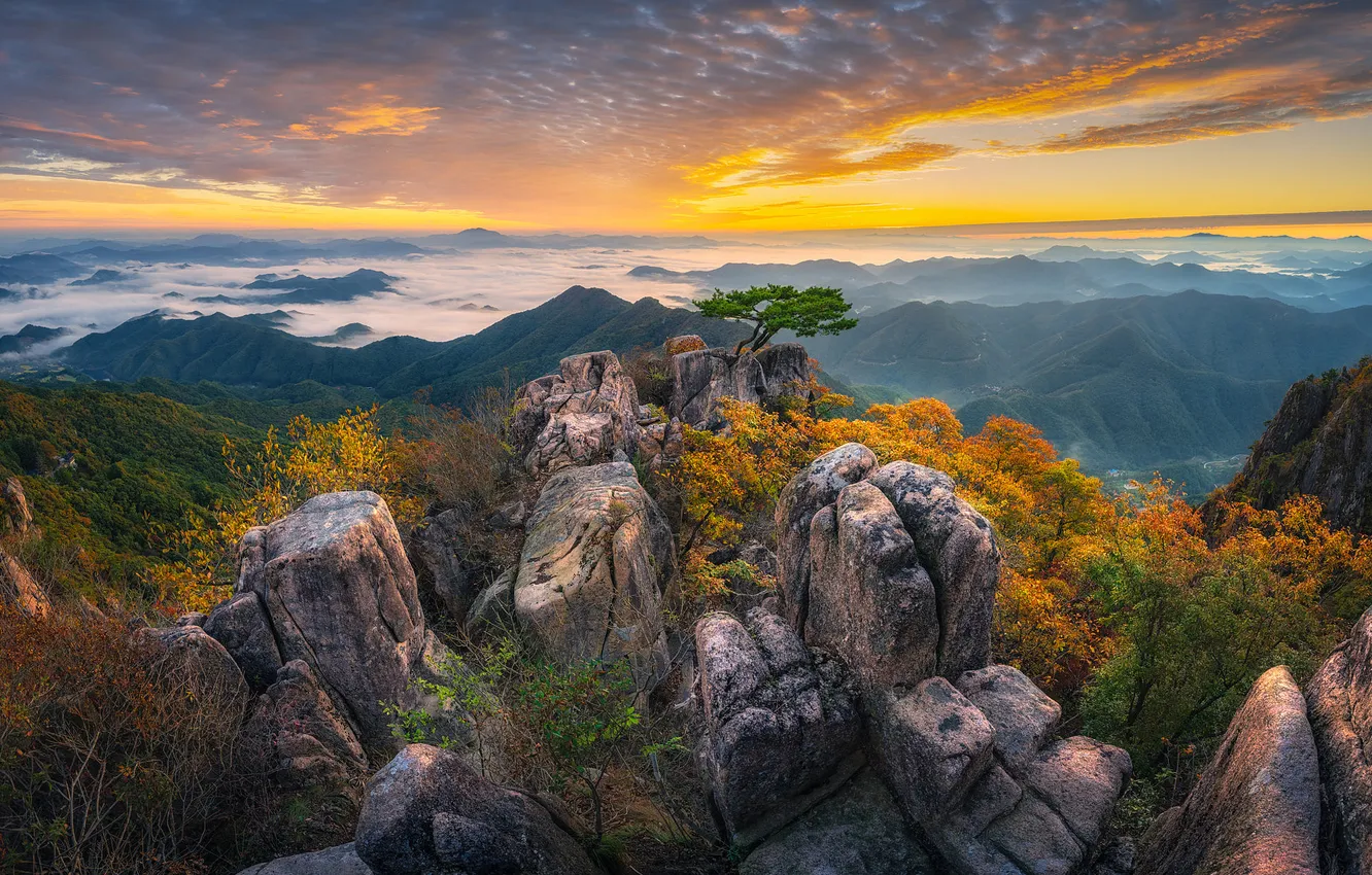 Photo wallpaper fog, height, horizon, space, haze, fog, boulders, horizon