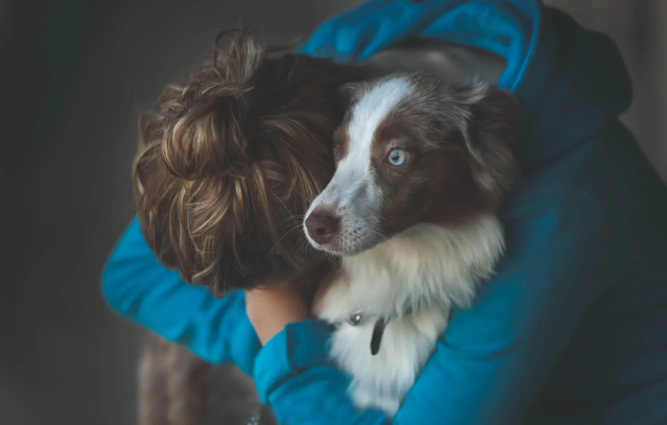 Photo wallpaper girl, each, dog