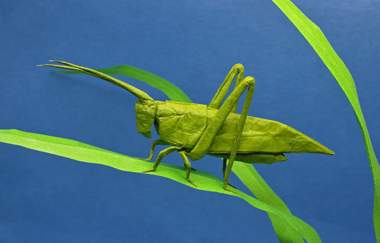 Photo wallpaper paper, background, grasshopper, origami