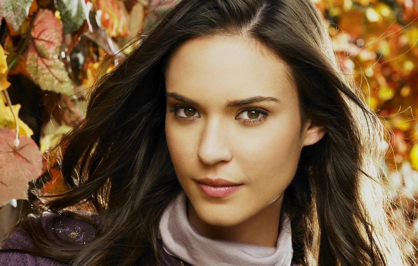 Photo wallpaper autumn, leaves, Odette, yustman