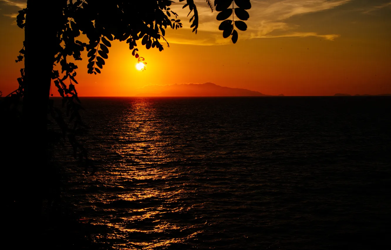 Photo wallpaper the sky, trees, landscape, nature, silhouette, sunset. sea