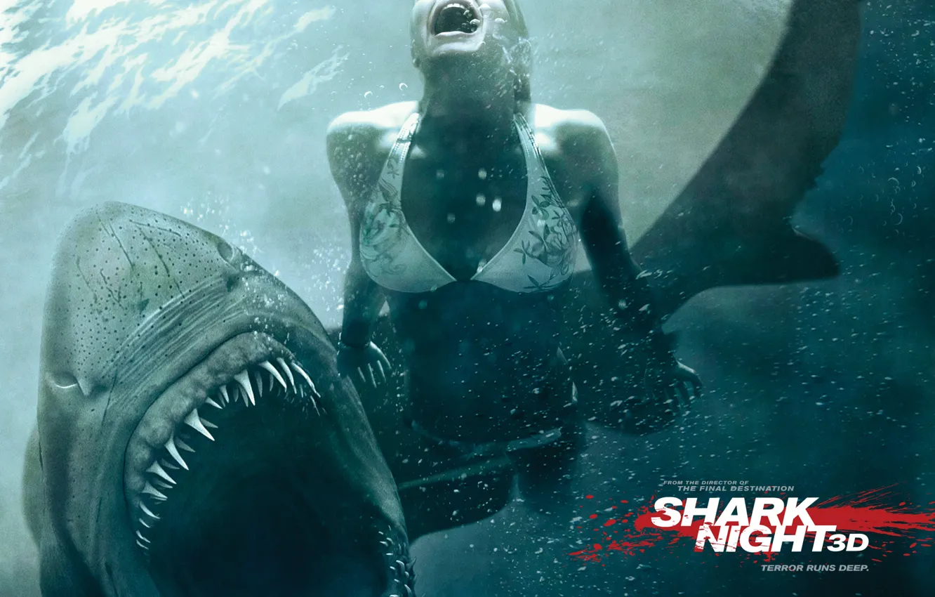 Photo wallpaper water, girl, shark, horror, jaws in 3d