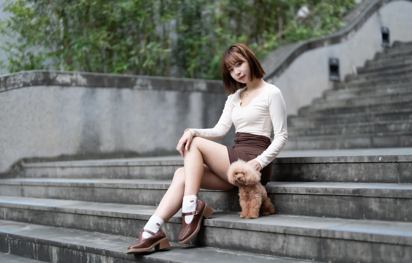 Photo wallpaper girl, steps, legs, Asian, dog