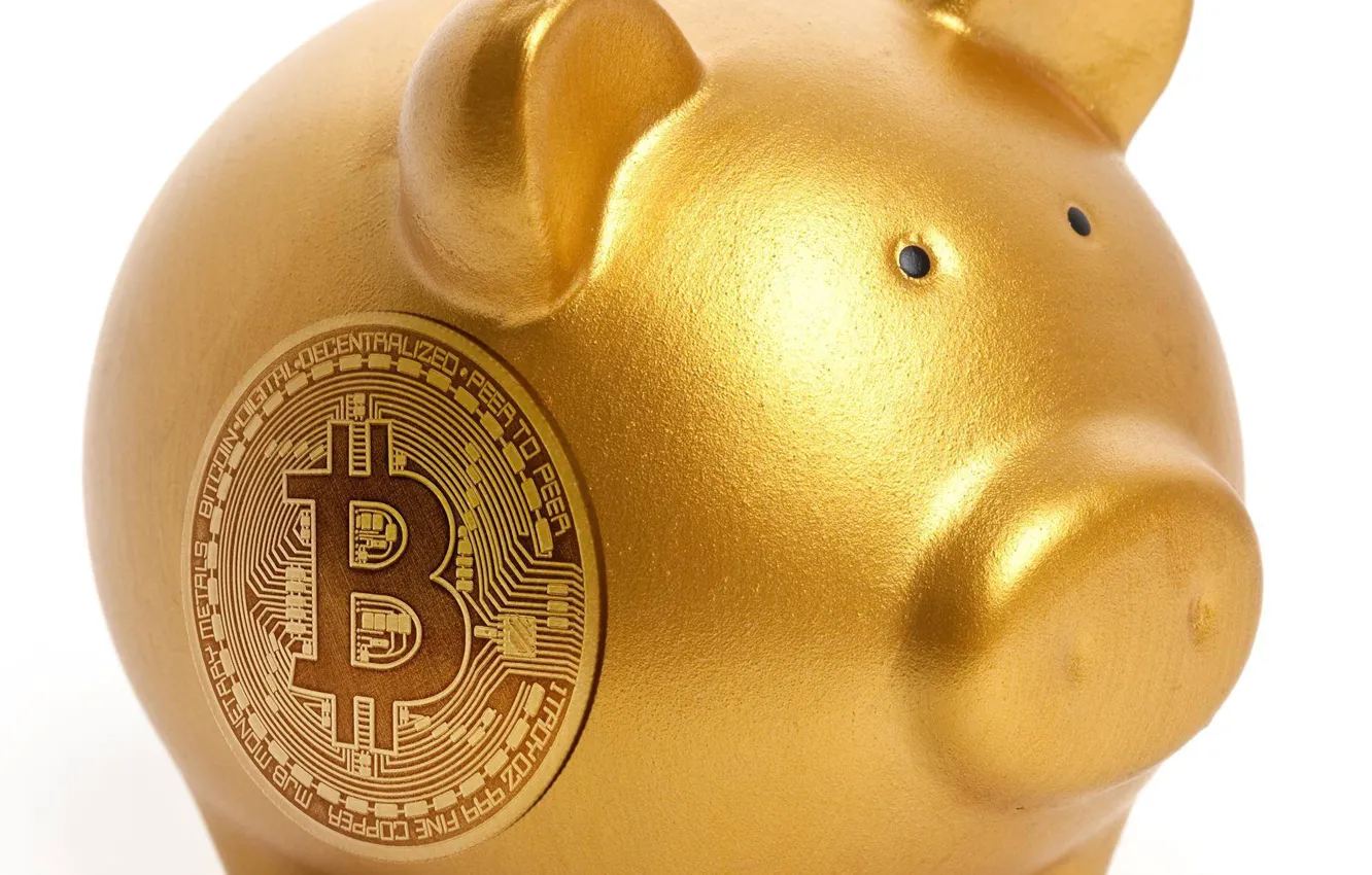 Photo wallpaper piggy, logo, white, gold, bitcoin, bitcoin, money box