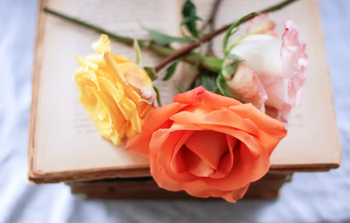 Photo wallpaper flowers, pink, roses, orange, book, yellow