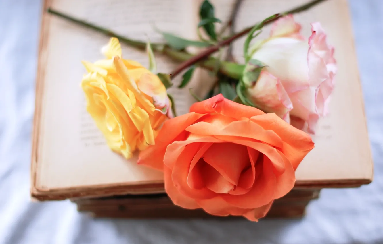 Photo wallpaper flowers, orange, yellow, roses, book, pink