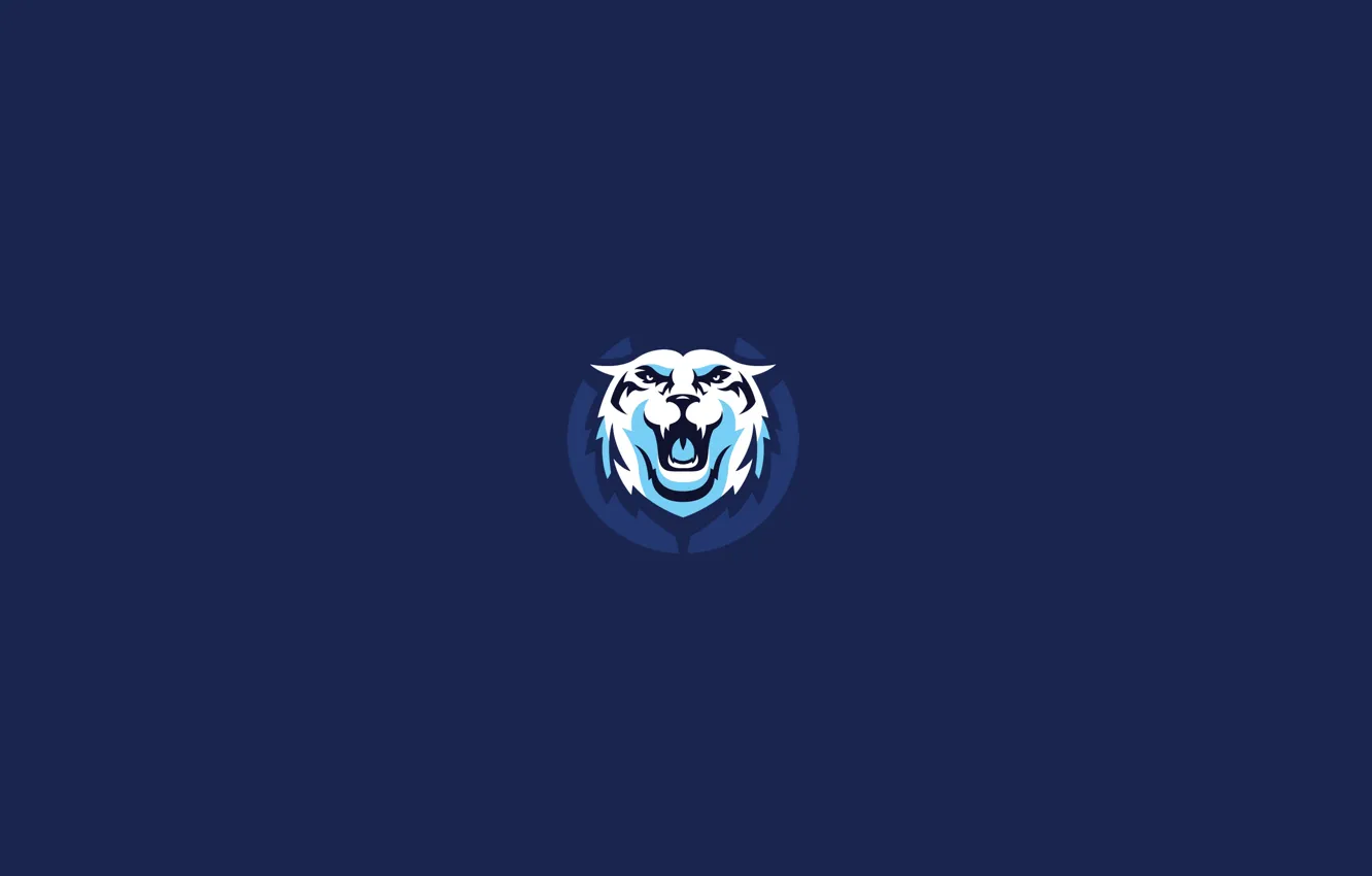 Photo wallpaper blue, mouth, white tiger, dark