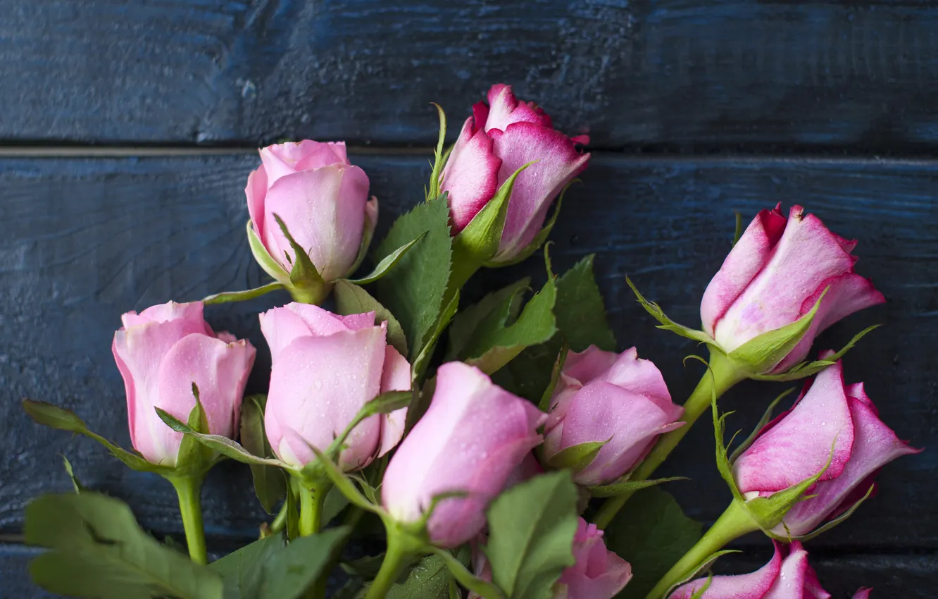 Photo wallpaper leaves, flowers, the dark background, Board, roses, bouquet, pink, buds