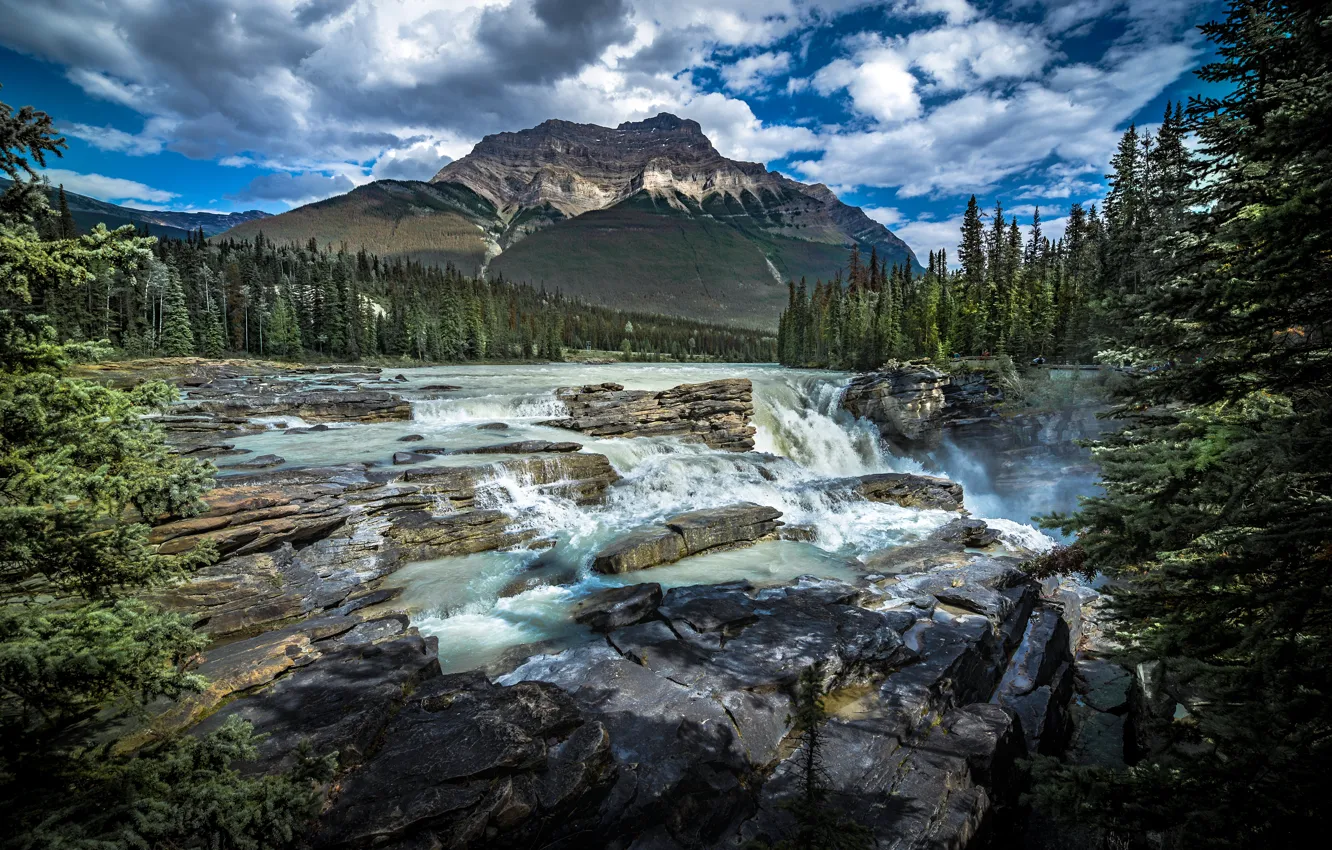 Photo wallpaper forest, mountains, river, waterfall, Canada, Albert, Alberta, Canada