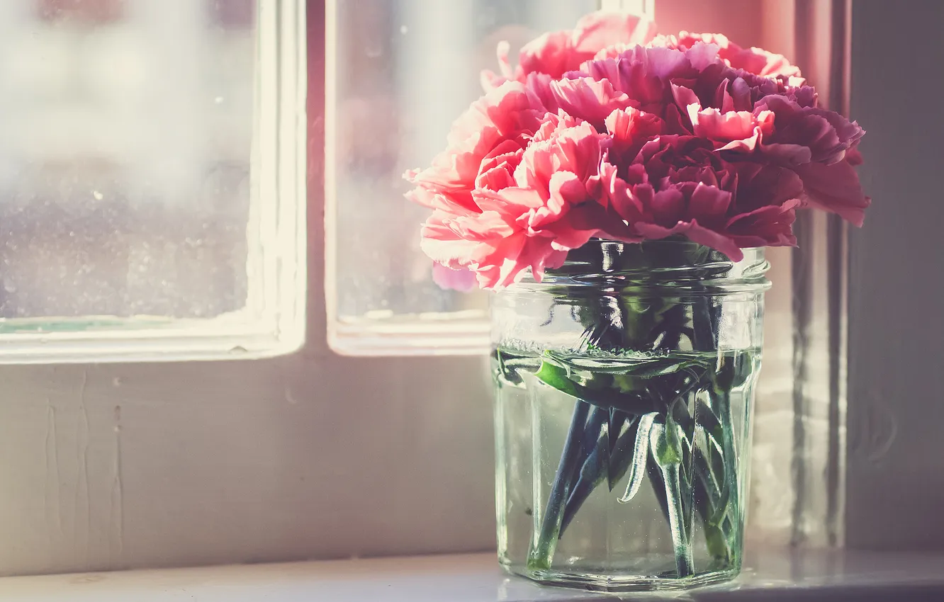 Photo wallpaper flowers, petals, pink