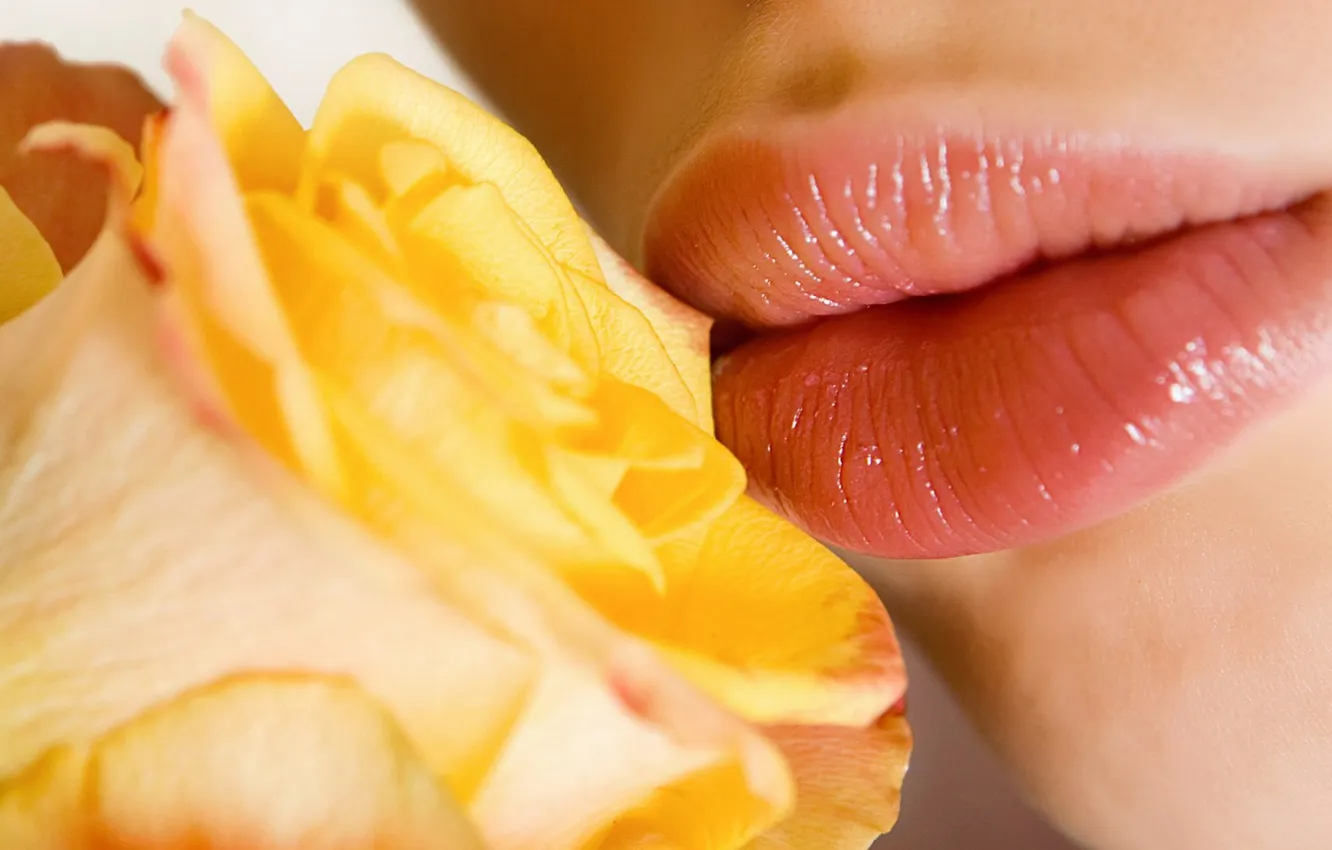 Photo wallpaper girl, flowers, kiss, lips, yellow rose