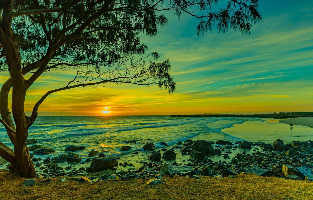 Photo wallpaper sea, the sun, sunset, stones, tree, shore