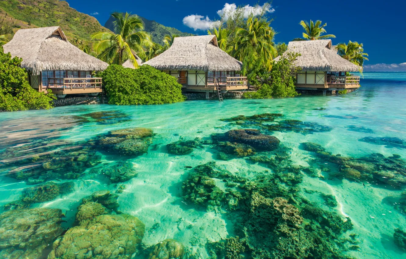 Wallpaper the sky, water, stones, palm trees, The ocean, Bungalow for ...