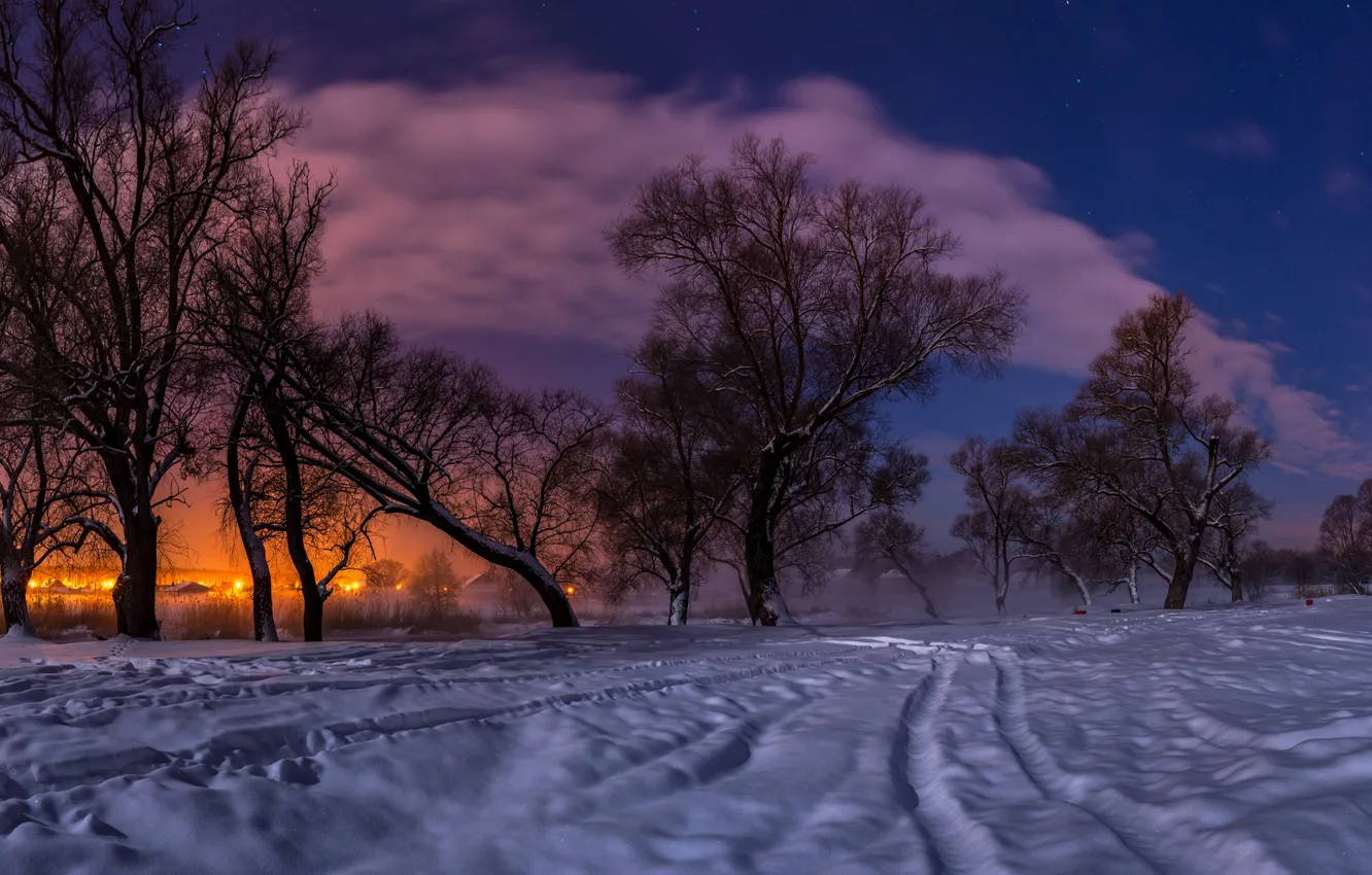 Photo wallpaper winter, snow, trees, landscape, sunset, nature, lights, the evening