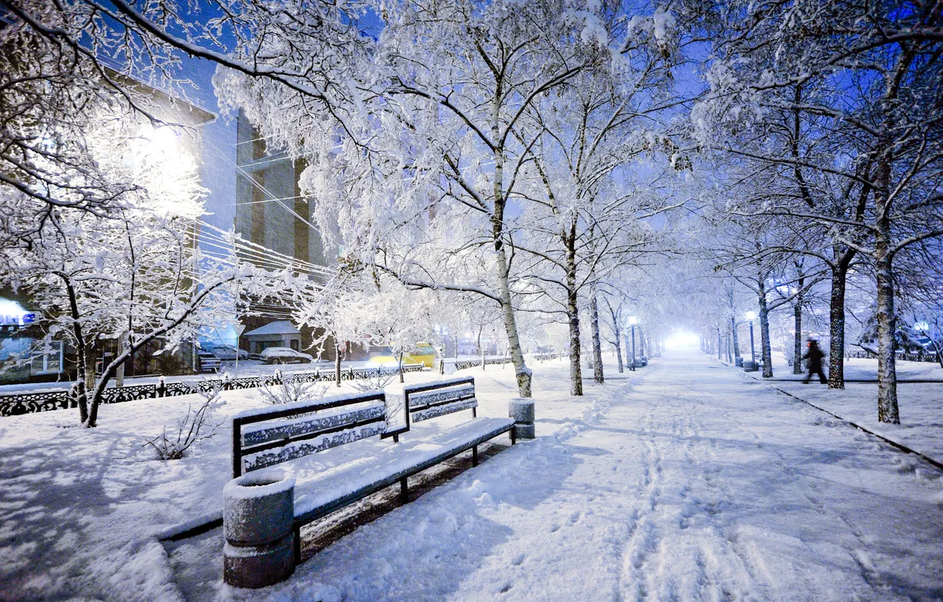 Photo wallpaper winter, the sky, snow, bench, night, city, the city, lights