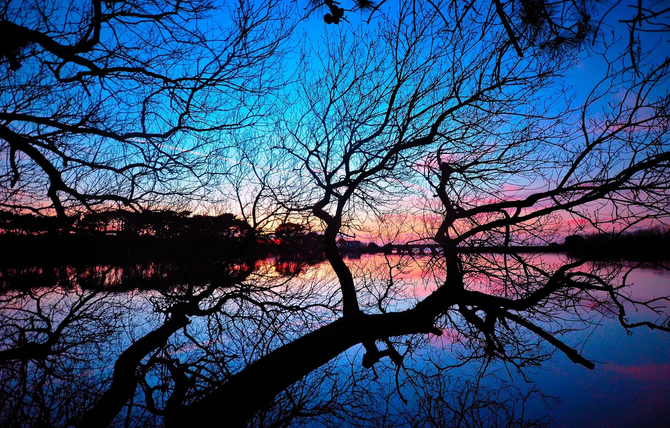 Photo wallpaper the sky, bridge, lake, tree, branch, mirror, silhouette, twilight