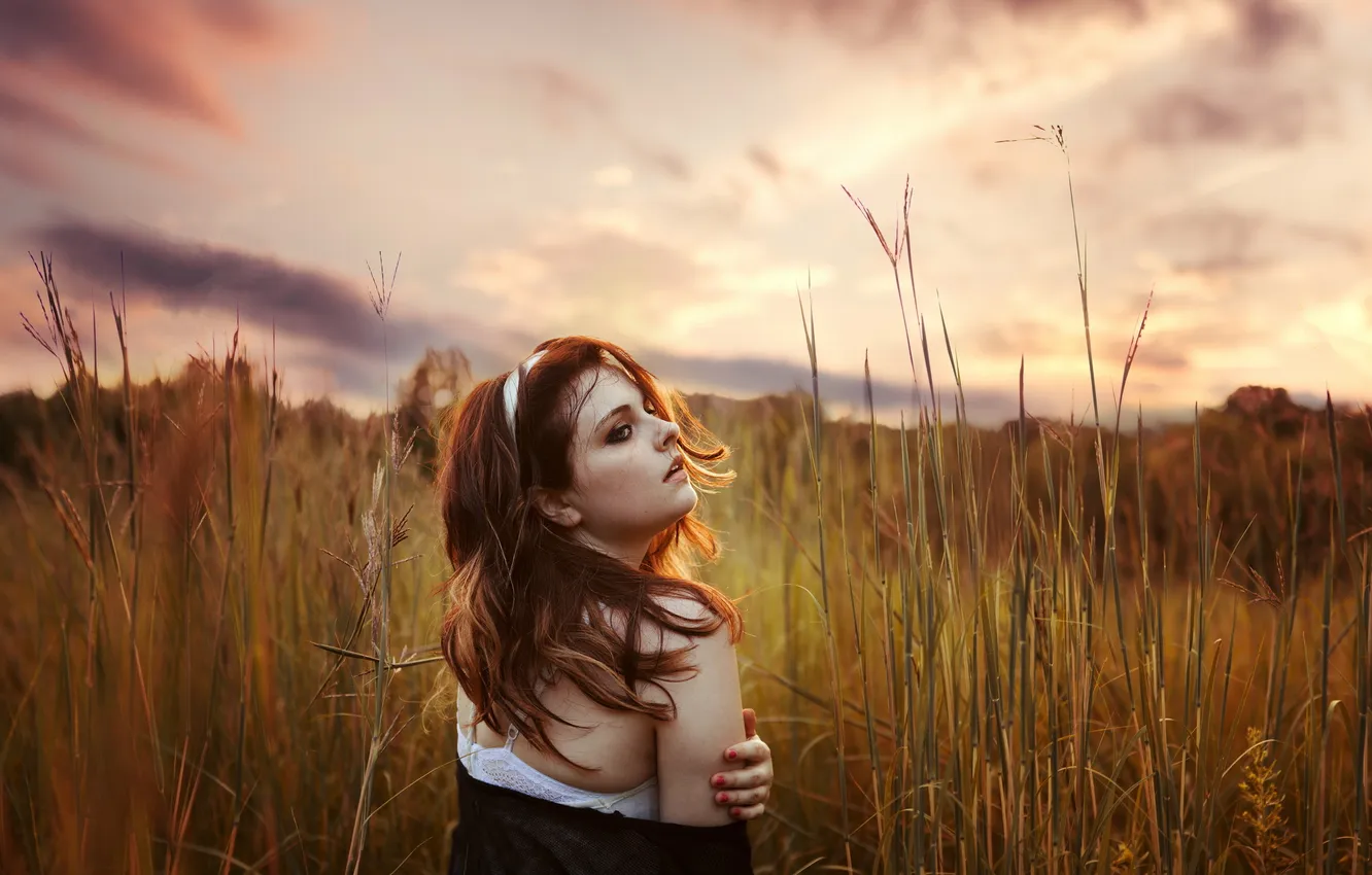 Photo wallpaper field, girl, sunset