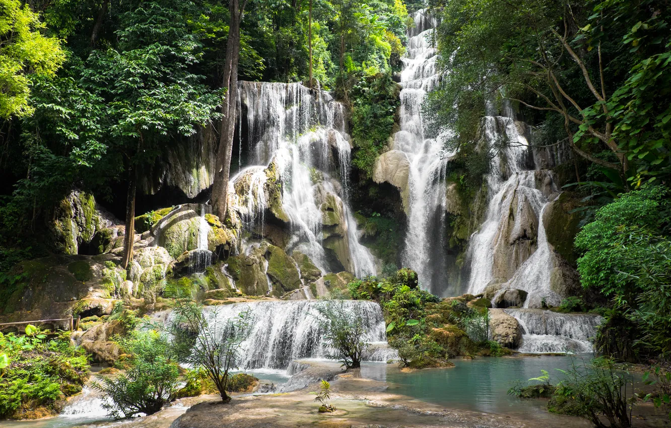 Photo wallpaper greens, forest, trees, tropics, stones, rocks, waterfall, moss